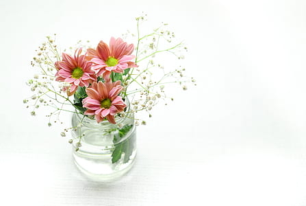 pink daisy flowers and baby's breath flowers in clear glass vase thumbnail
