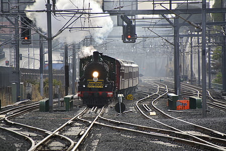brown train on railway under gray sky thumbnail