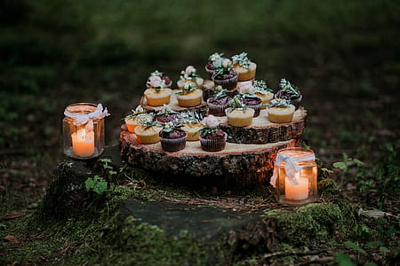 photo of potted plants on wood slab thumbnail
