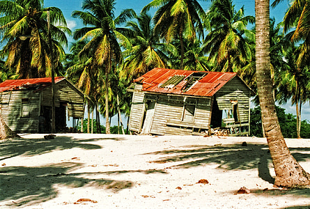 two brown nipa huts surrounded with coconut trees thumbnail