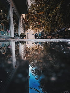 Puddle thumbnail