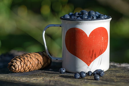 cup of blueberries thumbnail