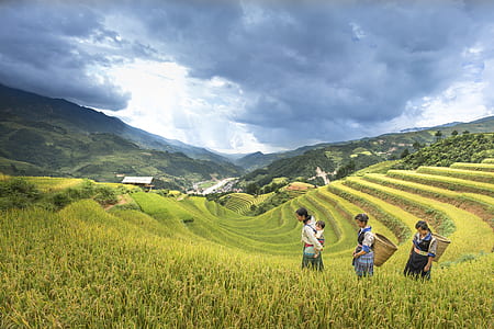 three woman walking on Banaue Rice Terraces thumbnail