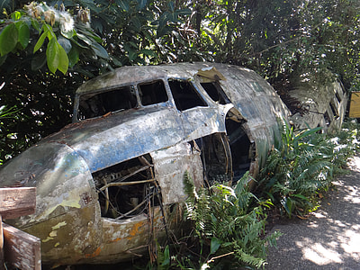 grey airplane body covered with bushes and ferns thumbnail