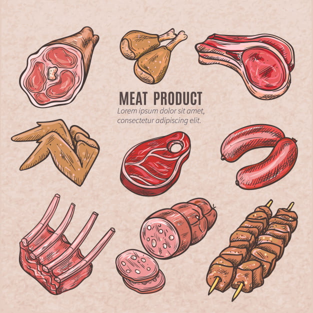 Meat products sketches set in vintage style with skewers pork ribs chicken wings steaks eps file