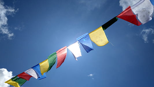 assorted-color flags thumbnail
