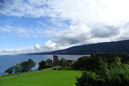 green lawn grass and trees near body of water during daytime thumbnail
