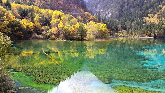 painting of lake thumbnail