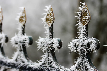snow-covered black steel gate spiked thumbnail