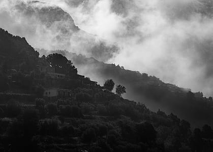 Landscape Grayscale Photography of Concrete Houses Surrounded With Trees thumbnail