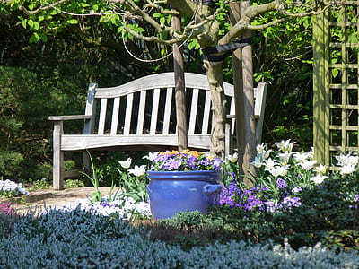 white patio bench beside tree thumbnail