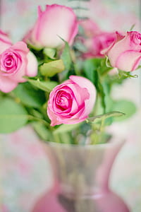 love, romantic, flowers, petals thumbnail
