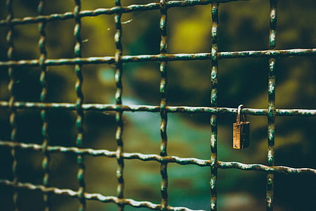 brown metal padlock locked in gray metal fence thumbnail