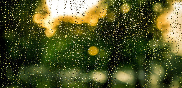 rain, water, drops, raindrops, window, wet thumbnail