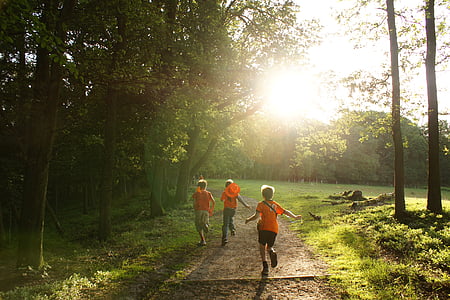 three children running on forest trail thumbnail