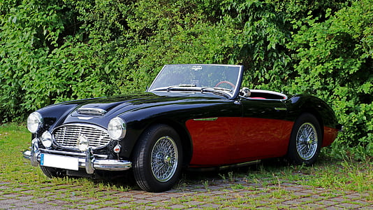 black and red MGB Roadster thumbnail