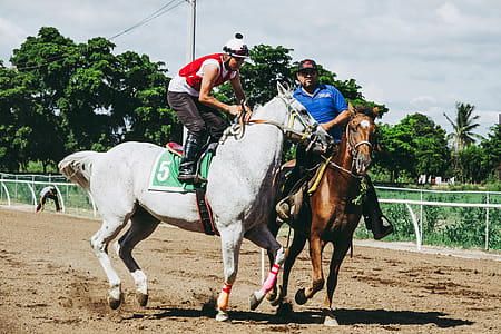 Two Men Riding on Horses thumbnail
