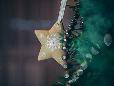 Brown Star Tree Decor thumbnail