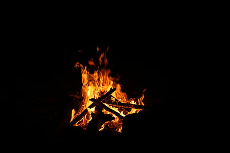 burned firewood thumbnail