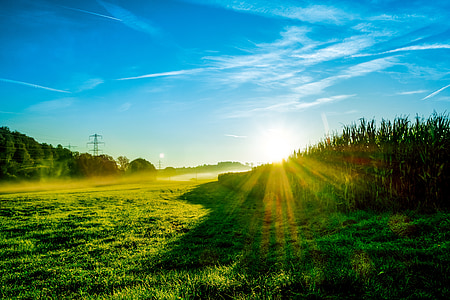 landscape photo of grass field under blue sky thumbnail