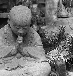 gray concrete meditating buddha statuette near plants thumbnail