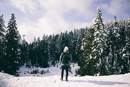 person standing on snow covered hill near trees thumbnail