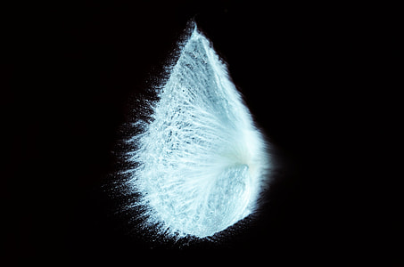 white feather drop thumbnail