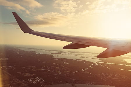 flight, flying, aerial, plane thumbnail