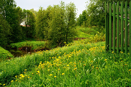 green field grass thumbnail