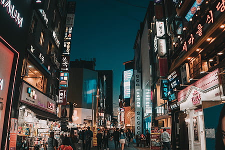 landscape photography of city at night thumbnail