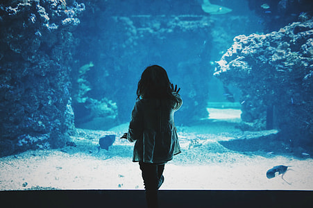 girl holding clear glass aquarium thumbnail