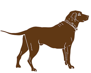 brown dog illustration thumbnail
