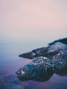 macro photography of rock over body of water thumbnail