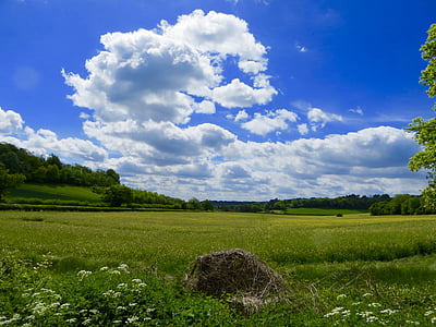 green grass under blue and white sky during day time thumbnail