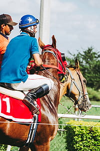 Man Riding on Horse thumbnail
