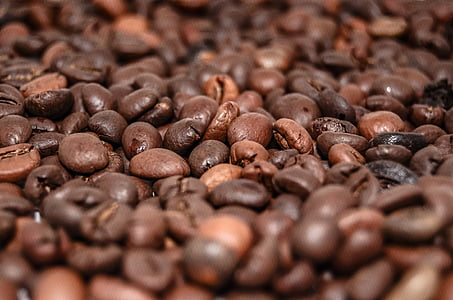 brown beans lot thumbnail