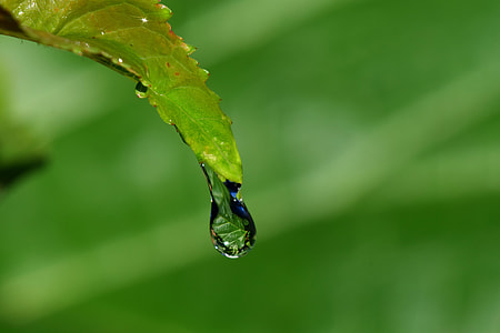 macro photography of droplet thumbnail