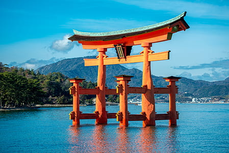 brown wooden tori gate on body of water thumbnail