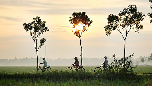 three man riding on bike thumbnail