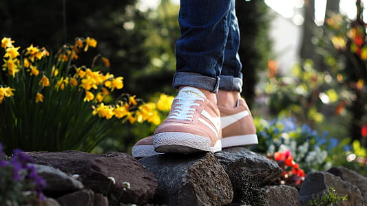 Person Wearing Pink Nike Low-top Sneakers Stepping on Stone Surrounded by Flower thumbnail