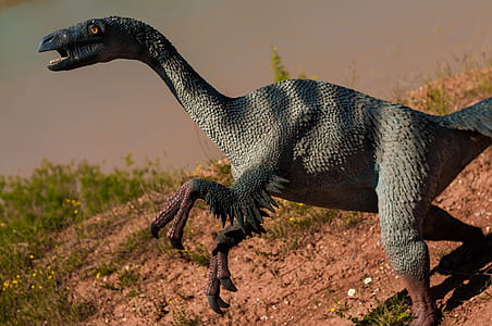 gray dinosaur thumbnail