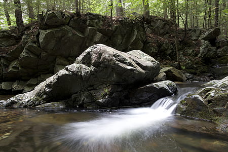 Water Running Through Rocky Terrain in the Woods thumbnail