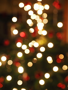 multicolored bokeh photography thumbnail