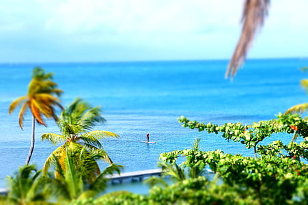 human on surfboard thumbnail