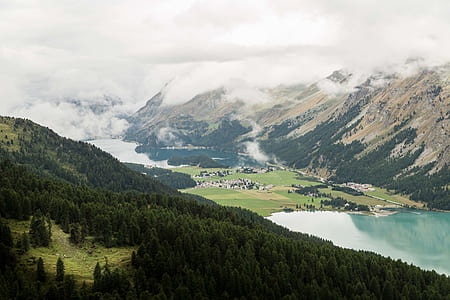 body of water between pine trees and mountains during daytime thumbnail