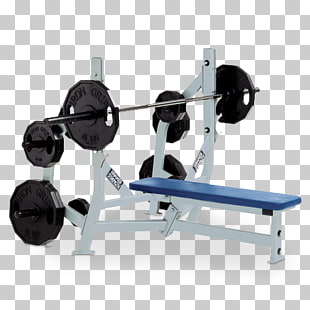201 Dumbbell Bench Press Png Cliparts For Free Download Uihere