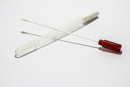 red bud and clear tube glass thumbnail