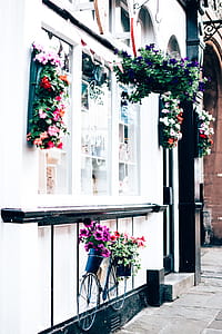 Bicycle Parked Beside Railings Under a Window thumbnail