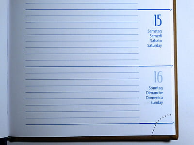 notebook, office, writing, school thumbnail