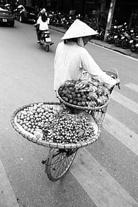 Transporting vegetables thumbnail
